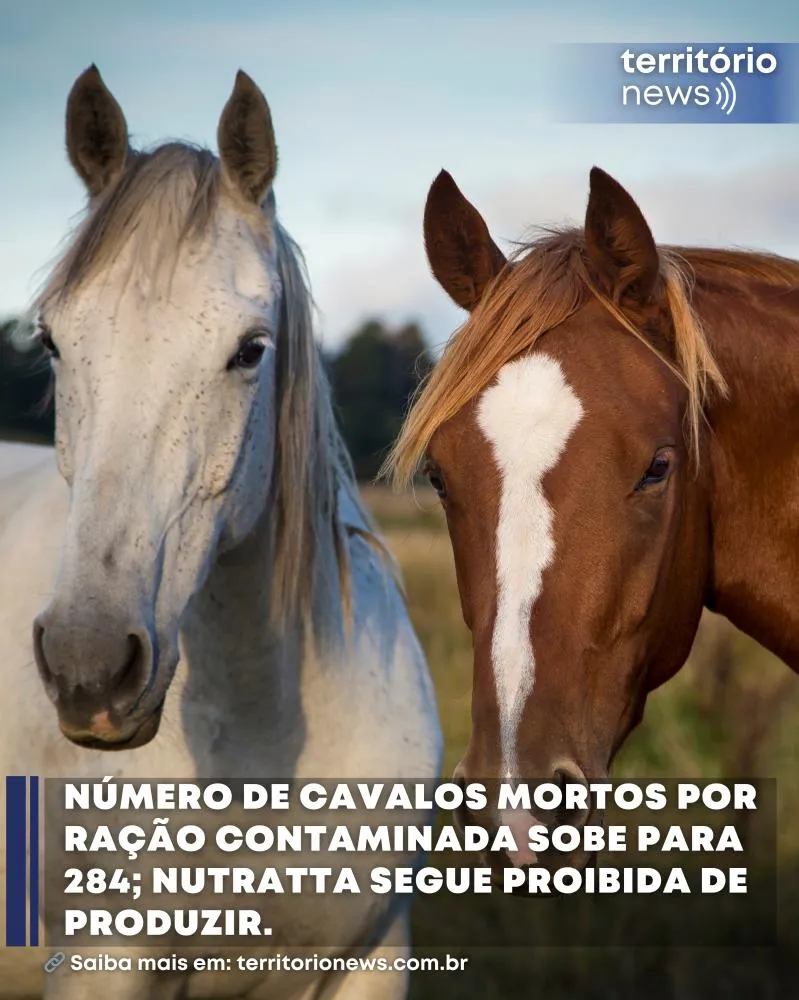 Número de cavalos mortos por ração contaminada sobe para 284; Nutratta segue proibida de produzir