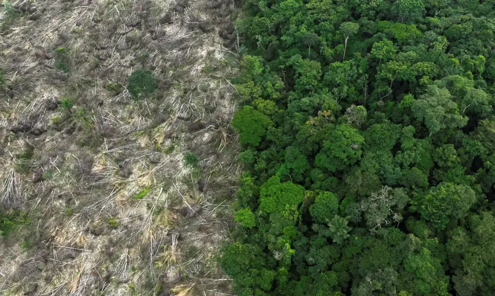 Brasil perde 111,7 milhões de hectares de áreas naturais em quatro décadas