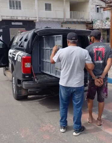 Polícia Civil Cumpre Mandado de Prisão por Tentativa de Homicídio em Nova Viçosa