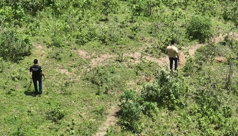 Morte de mototaxista encontrado em área de mata mobiliza força-tarefa da Polícia Civil em Teixeira de Freitas