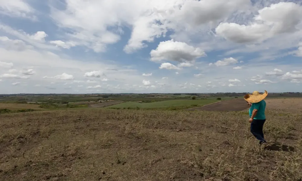 Chuvas reduzem intensidade da seca em grande parte do Brasil em fevereiro