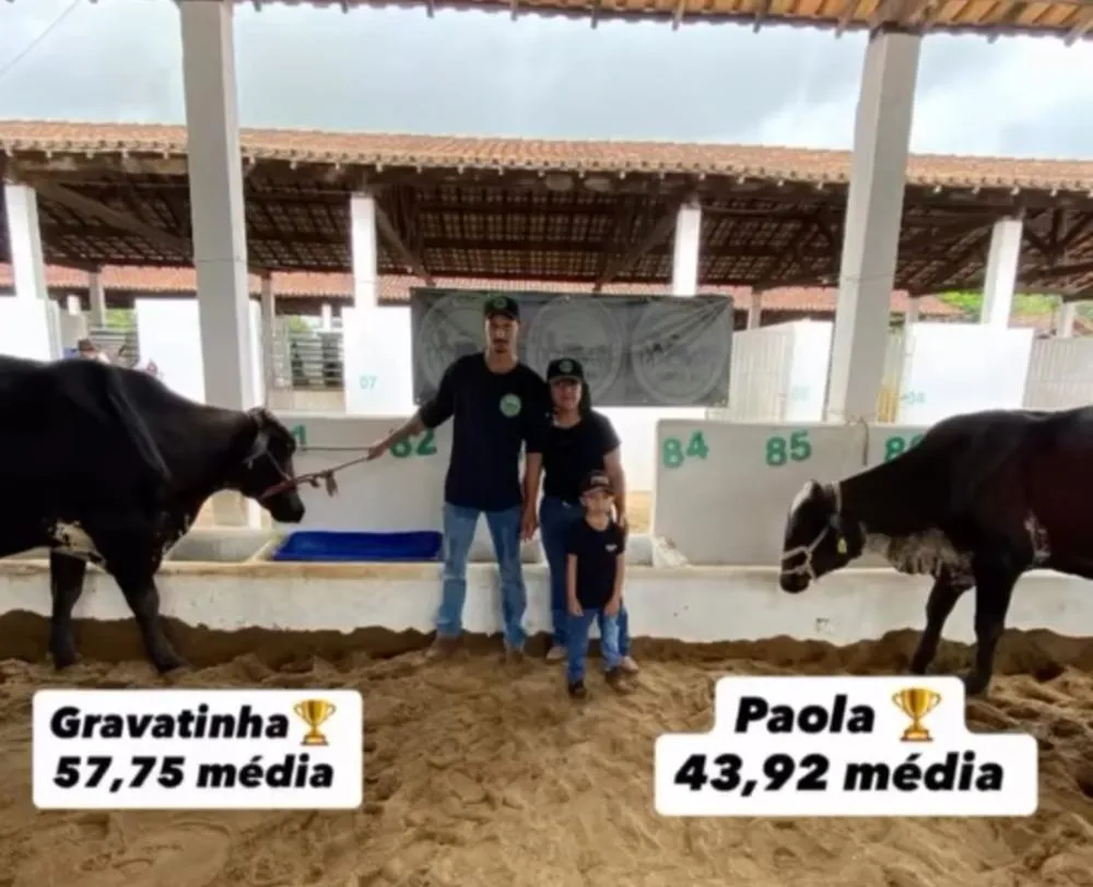 Reprodução: Instagram